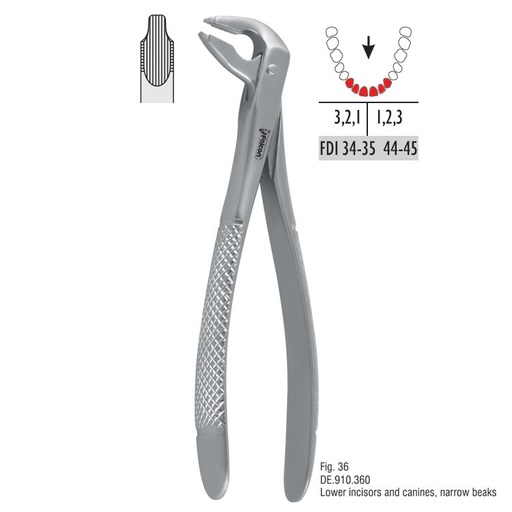 [DE.910.360] Atramatic extraction forceps notched beaks fig. 36