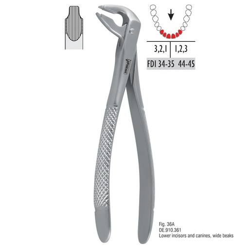 [DE.910.361] Atramatic extraction forceps notched beaks fig. 36A