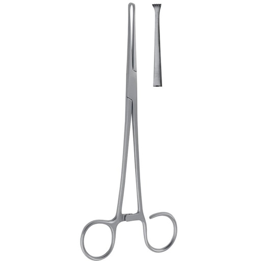 [FT.240.190] Forceps tonsil holding Colver straight 190mm